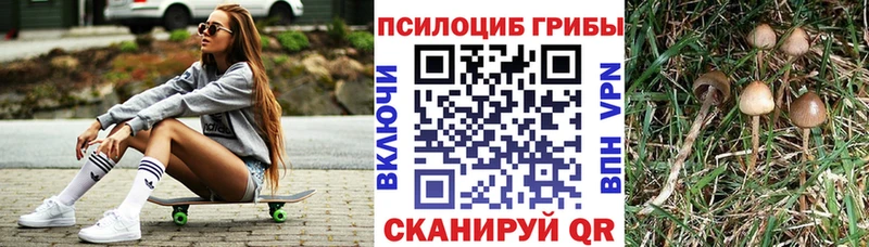 купить наркоту  Южно-Сухокумск  Галлюциногенные грибы Magic Shrooms 